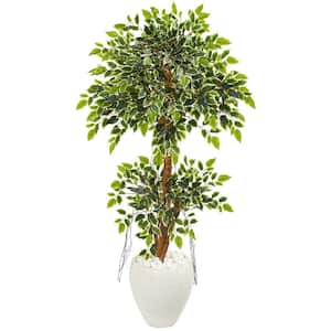 Indoor 56 in. Variegated Ficus Artificial Tree in White Planter