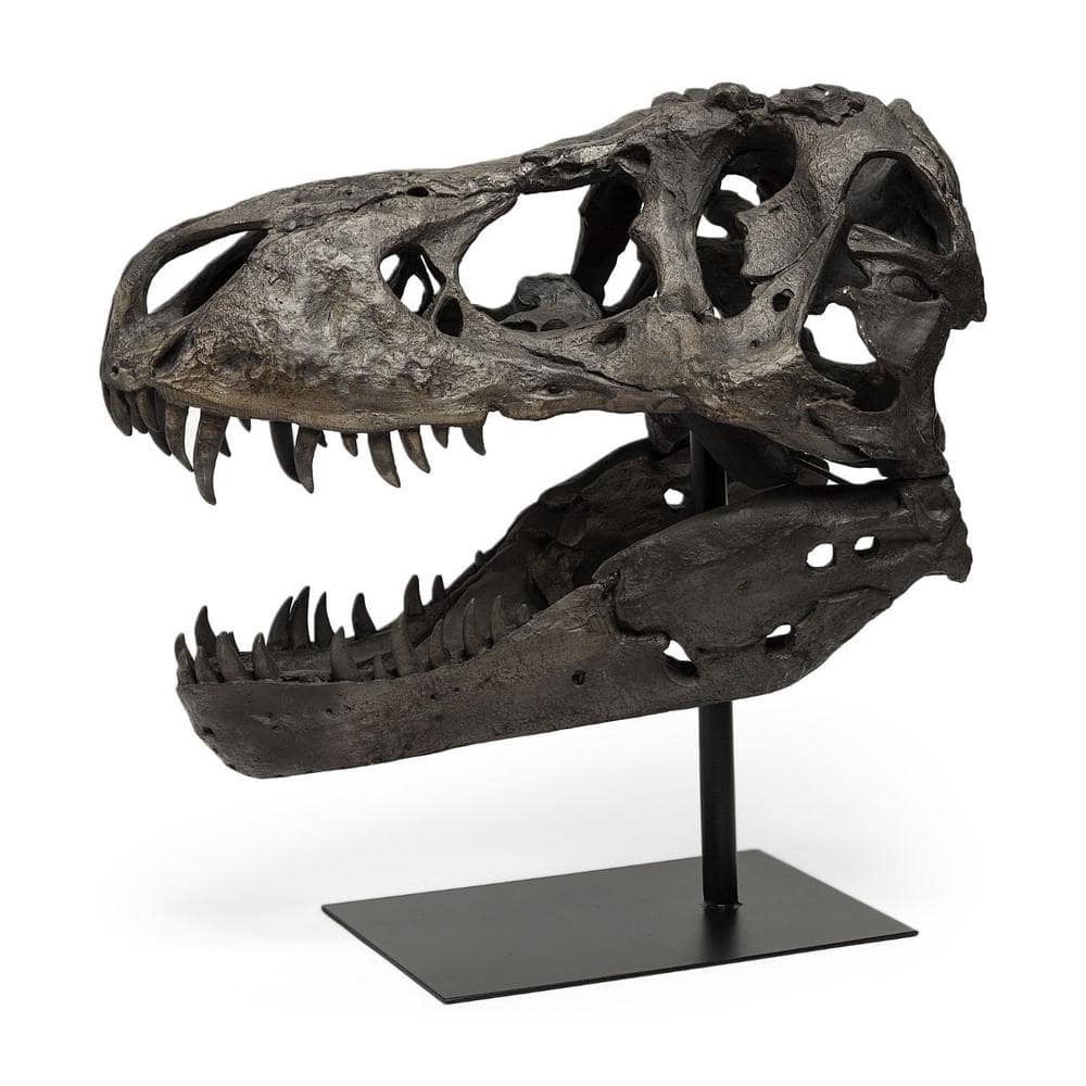 HomeRoots 20 in. Brown Authentic Replica T Rex Skull Sculpture
