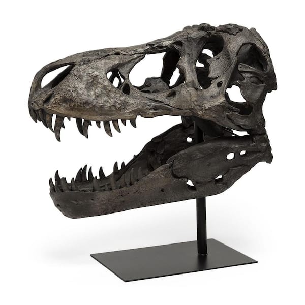 20 in. Brown Authentic Replica T Rex Skull Sculpture