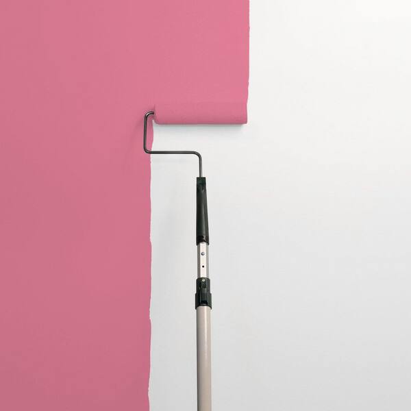 Razzberries PPG1183-5 Paint
