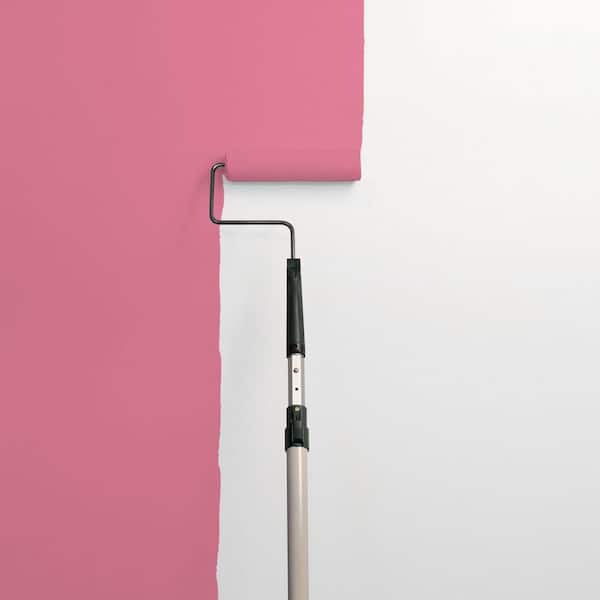 Razzberries PPG1183-5 Paint