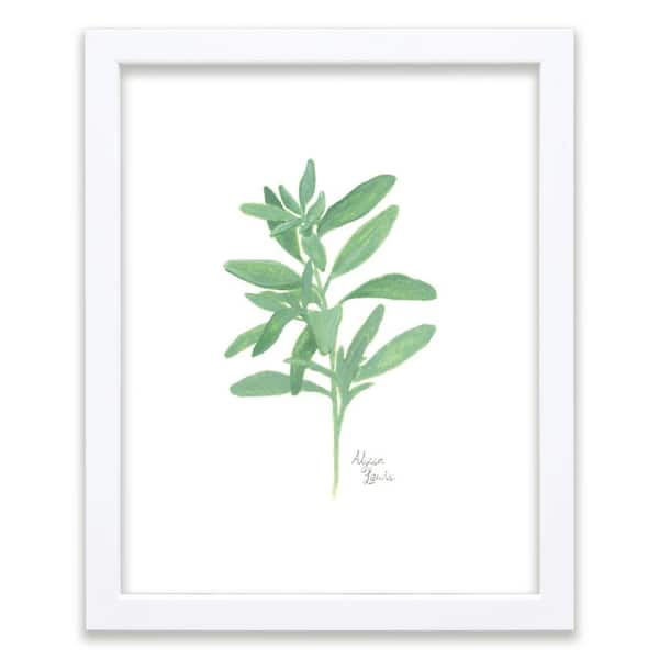 Unbranded Nature's Lace 2 "Sage" by Alyssa Lewis Individual White Framed Nature Art Print 24 in. x 18 in.