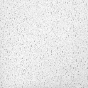 Textured 2 ft. x 2 ft. Lay-in Ceiling Tile (64 sq. ft. / Case)