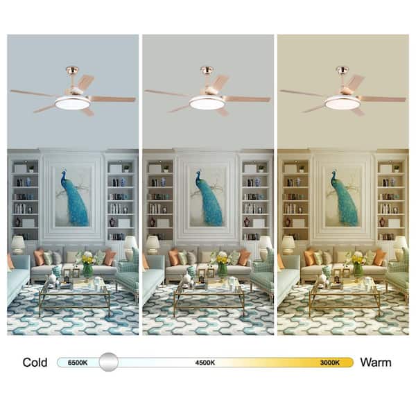 OUKANING 52 in. Indoor Gold Modern 6-Speed Ceiling Fan with
