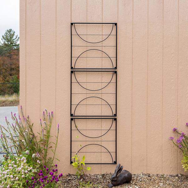 24 in.x24 in. Modular Wall-Mounted Trellis Set of 3, Plant Support, Wrought  Iron, Black MA110-1047 - The Home Depot