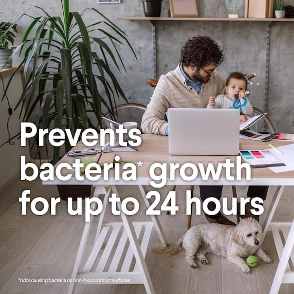 Clorox - 75-Count Crisp Lemon and Fresh Scent Bleach Free Disinfecting leaning Wipes (2-Pack)