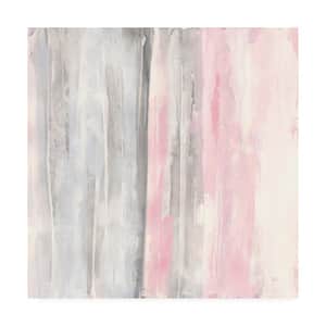 18 in. x 18 in. Whitewashed Blush I Pink Gray by Chris Paschke Hidden Frame