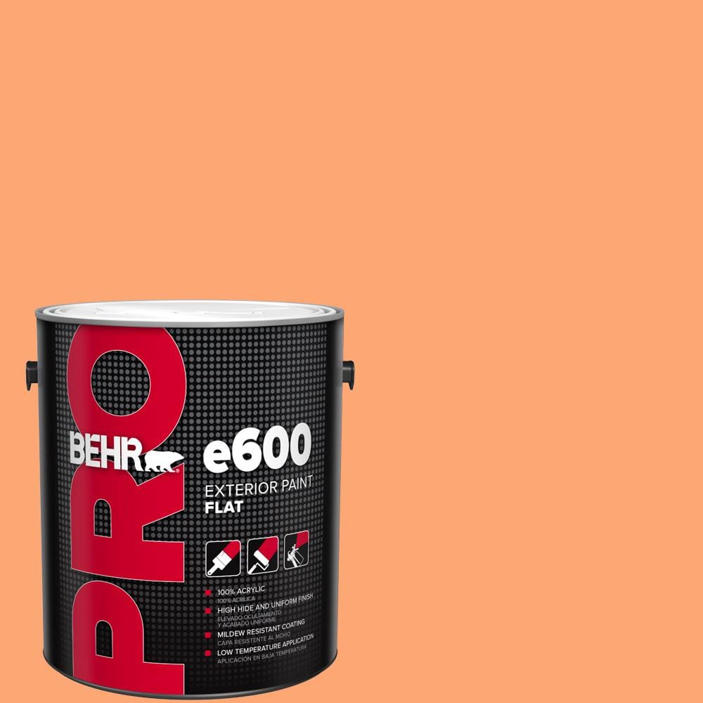 1 gal. #240B-4 Marmalade Flat Exterior Paint price history on PriceWatchPro