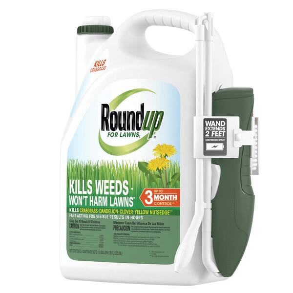 What is Roundup for Lawns?