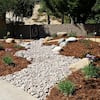 Permagreen 2 cu. ft. Gorilla Hair Landscape Mulch SC2 - The Home Depot