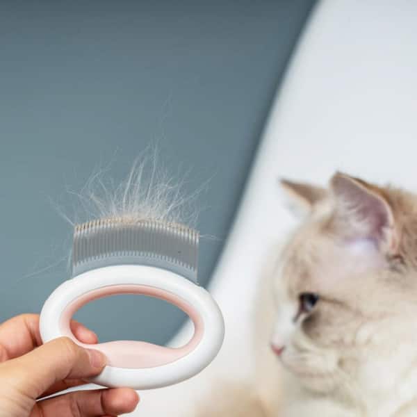 Pet rake comb online