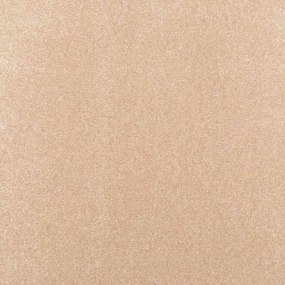 8 in. x 8 in. Texture Carpet Sample - Waking Up II - Color Dusk price history on PriceWatchPro