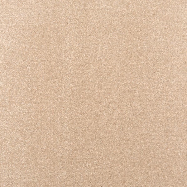 Lifeproof with Petproof Technology 8 in. x 8 in. Texture Carpet Sample - Waking Up II - Color Dusk