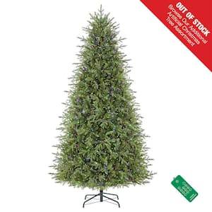 9 ft. Pre-Lit LED Grand Duchess Twinkling Balsam Fir Artificial Christmas Tree T28