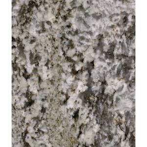 3 in. x 3 in. Granite Countertop Sample in Zanzibar