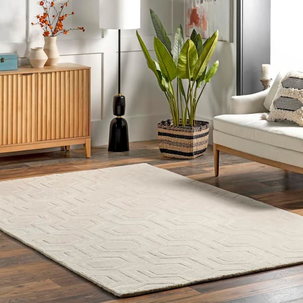 *DISCONTINUED* Hand Woven Ambrose Area Rug Ivory 9 ft. x 12 ft. Area Rug