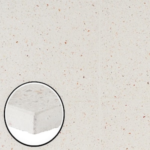 Raleigh Ivory Square 16.14 in. x 16.14 in. Polished Terrazzo Floor and Wall Tile (3.61 sq. ft. / Case)