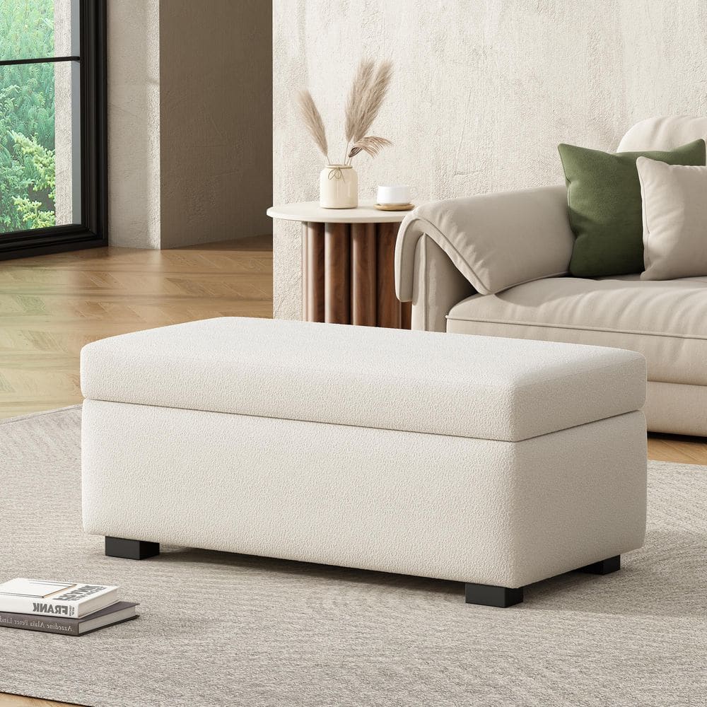 Chad Modern Beige Chenille Upholstered Rectangle Storage Accent Ottoman, Wood Frame