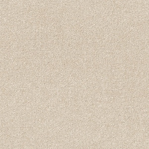 Perfected I  - Polished - Beige 40 oz. SD Polyester Texture Installed Carpet