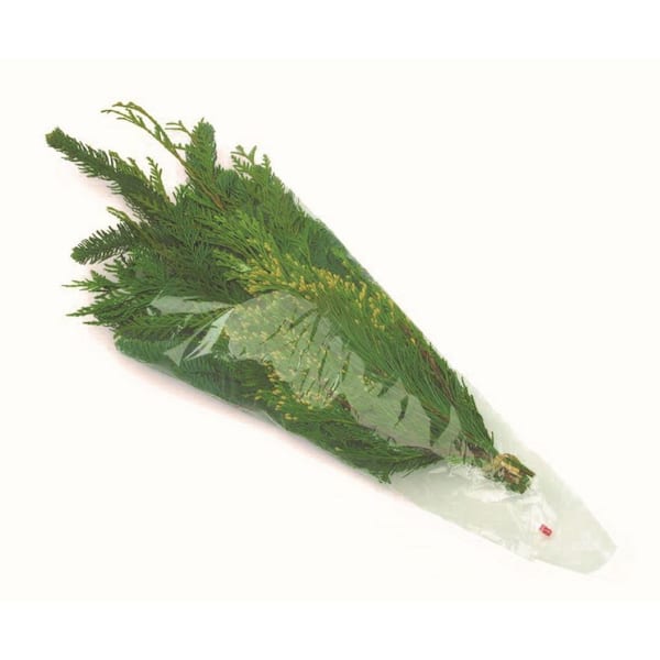 Online Orchards 24 in. Mixed Greens Bouquet Freshly Cut From Pacific Northwest Forests (5-Pack)