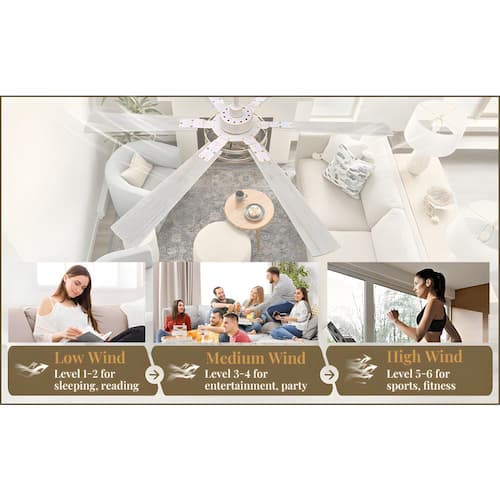 65 in. Indoor White Farmhouse Caged 6-Speed Large Industrial Ceiling Fan with Light Kit and Remote Control Lighting