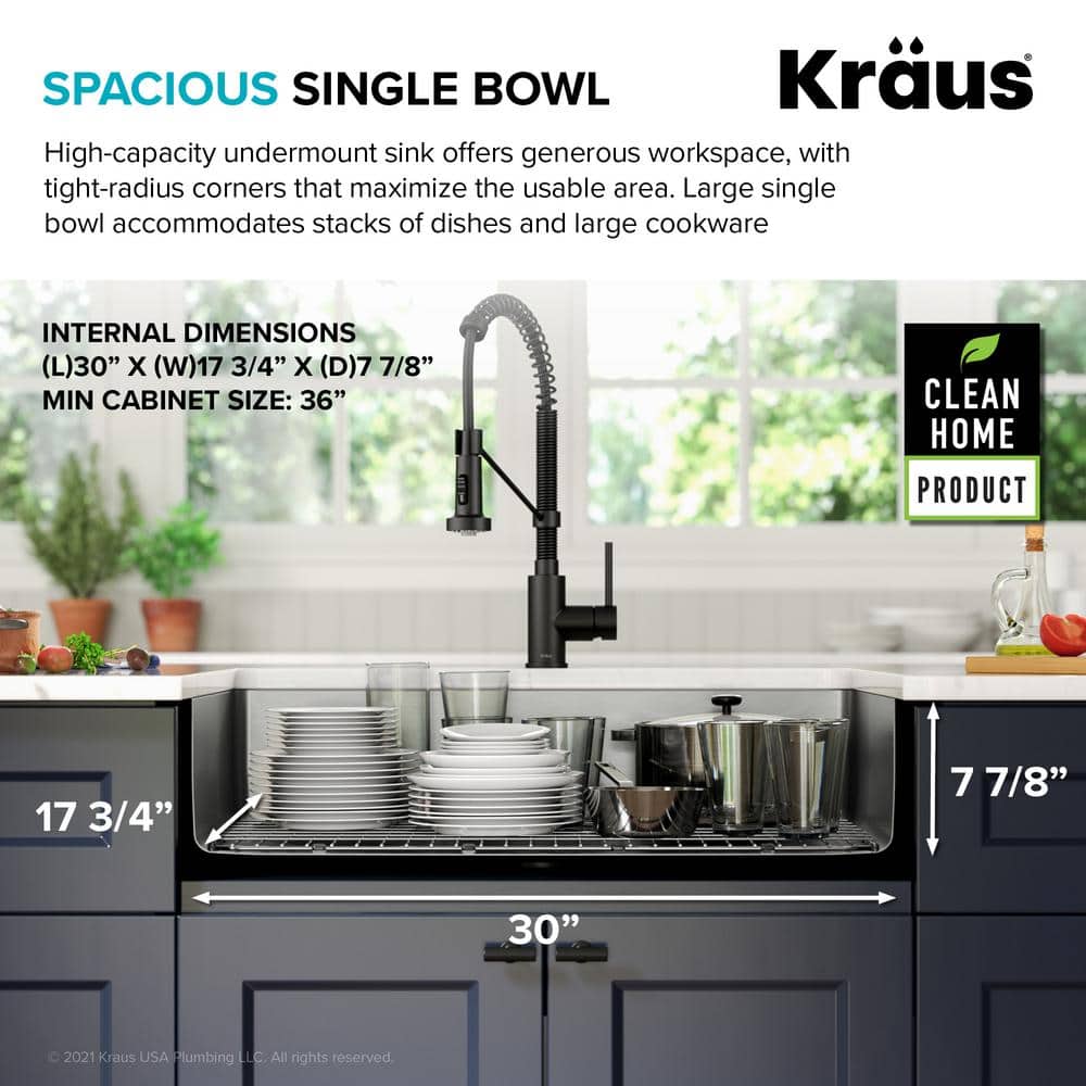 Dex 32-inch Stainless Steel Single Bowl Undermount Kitchen Sink