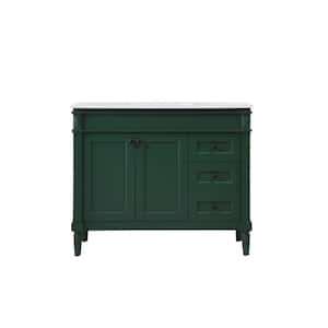 Simply Living 42 in. W x 21 in. D x 35 in. H Bath Vanity in Green with Ivory White Engineered Marble Top