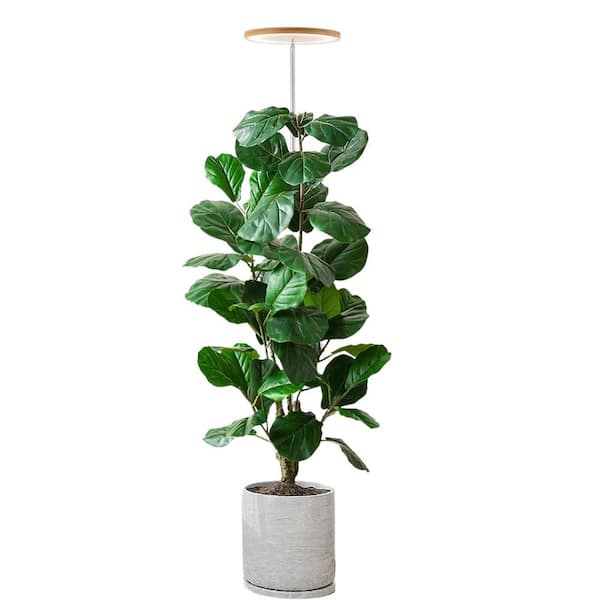 Plant Grow Light with Full Spectrum Height Adjustable Design Auto Timer and 5V Voltage for Indoor Large Plants (1-Pack)