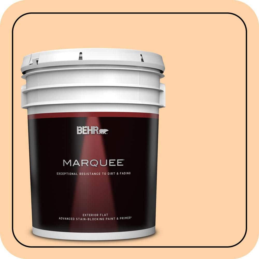 5 gal. #P220-3 Tropical Fruit Flat Exterior Paint & Primer price history on PriceWatchPro