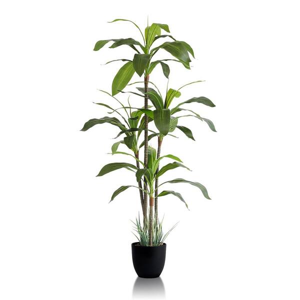 FOREVER LEAF 60 in. Dracaena Artificial Indoor Plant for Home Decor