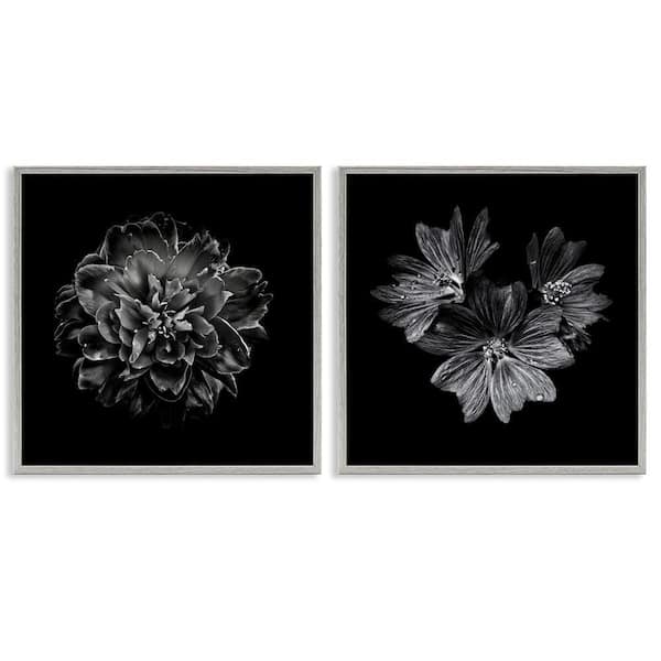 Stupell Industries Blossoms with Water Droplets by Brian Carson 2 Pieces Gray Framed Animal Giclee Art Print 24 in. x 24 in.