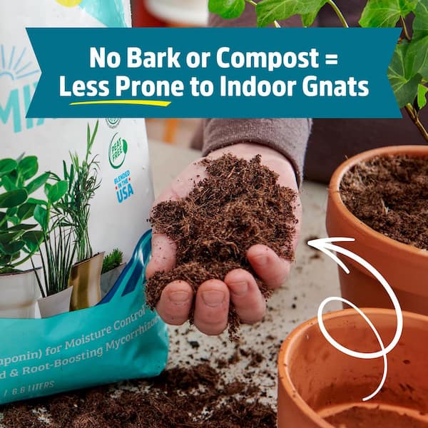 Back to the Roots 6 Quart Organic Indoor Potting Mix (8-Pack