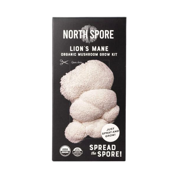 Lion's Mane Spray and Grow Mushroom Kit