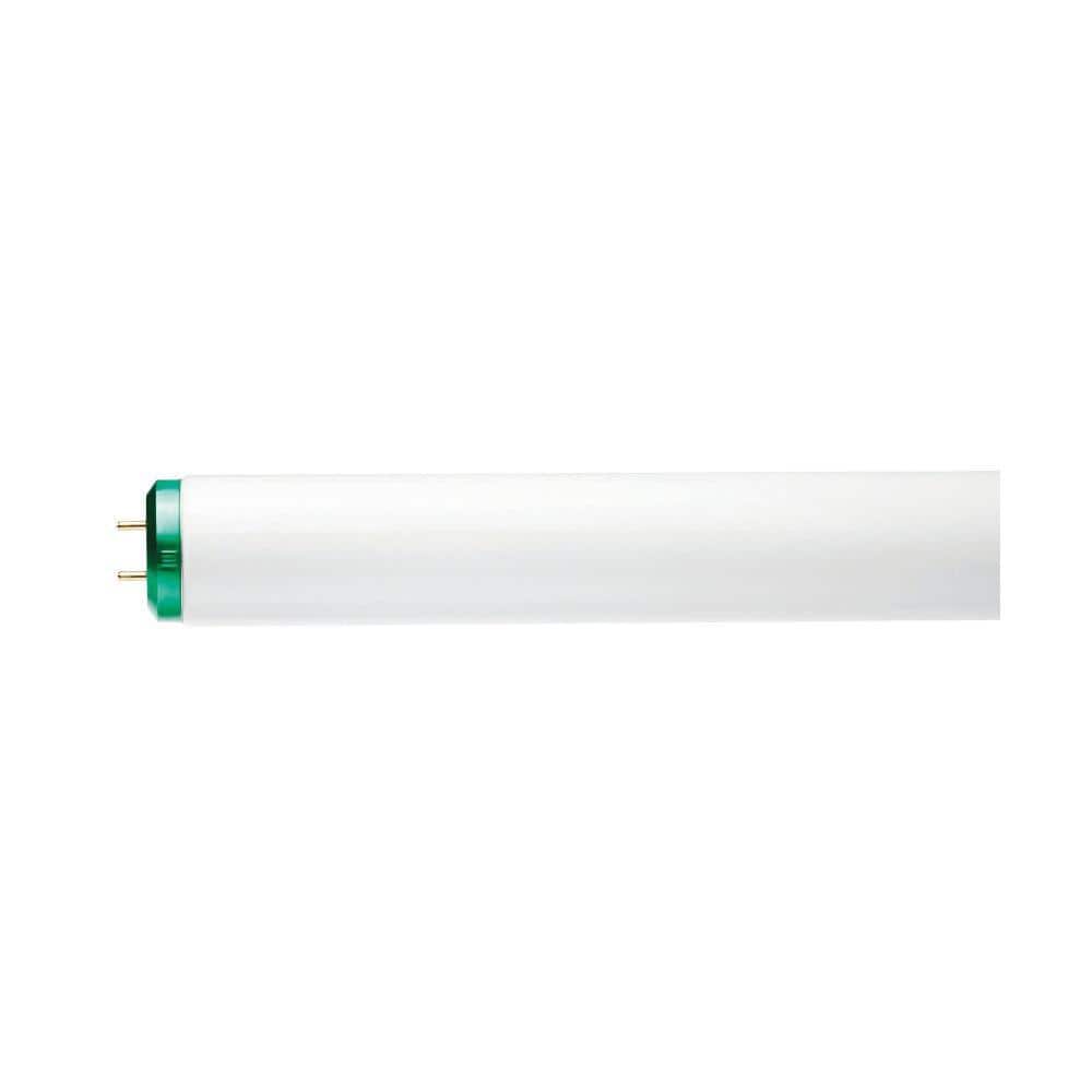 Vise dig Øl reservation Philips 40-Watt 4 ft. Linear T12 ALTO Fluorescent Tube Light Bulb Daylight  Deluxe (6500K) (2-Pack) 543405 - The Home Depot
