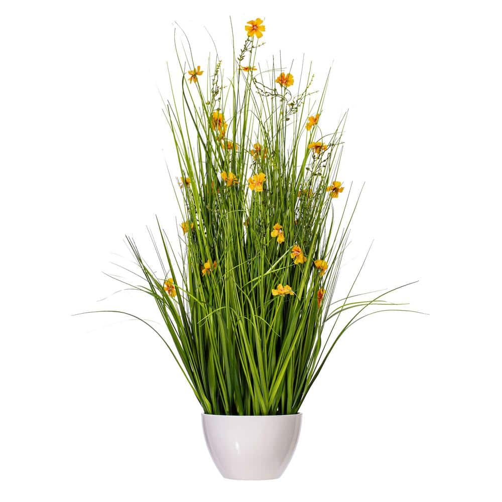 Elegant 42" Yellow Cosmos & Green Grass Outdoor Arrangement in Classic White Pot