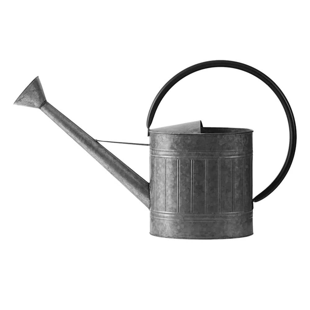 Stonebriar Collection Antique Galvanized Metal Watering Can with Handle