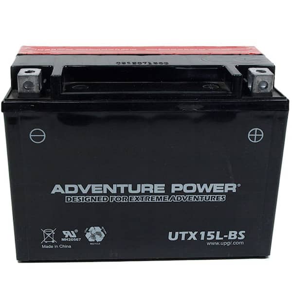 UPG Dry Charge AGM 12-Volt 13 Ah Capacity D Terminal Battery