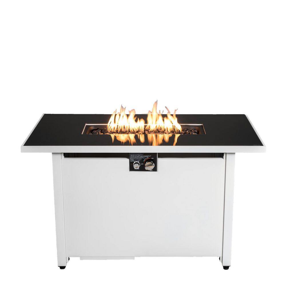 25 H x 42 W Steel Outdoor Fire Pit Table with Lid price history on PriceWatchPro