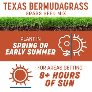 Smart Seed Texas Bermudagrass 1.75 lb. 1,000 sq. ft. Grass Seed and Lawn Fertilizer