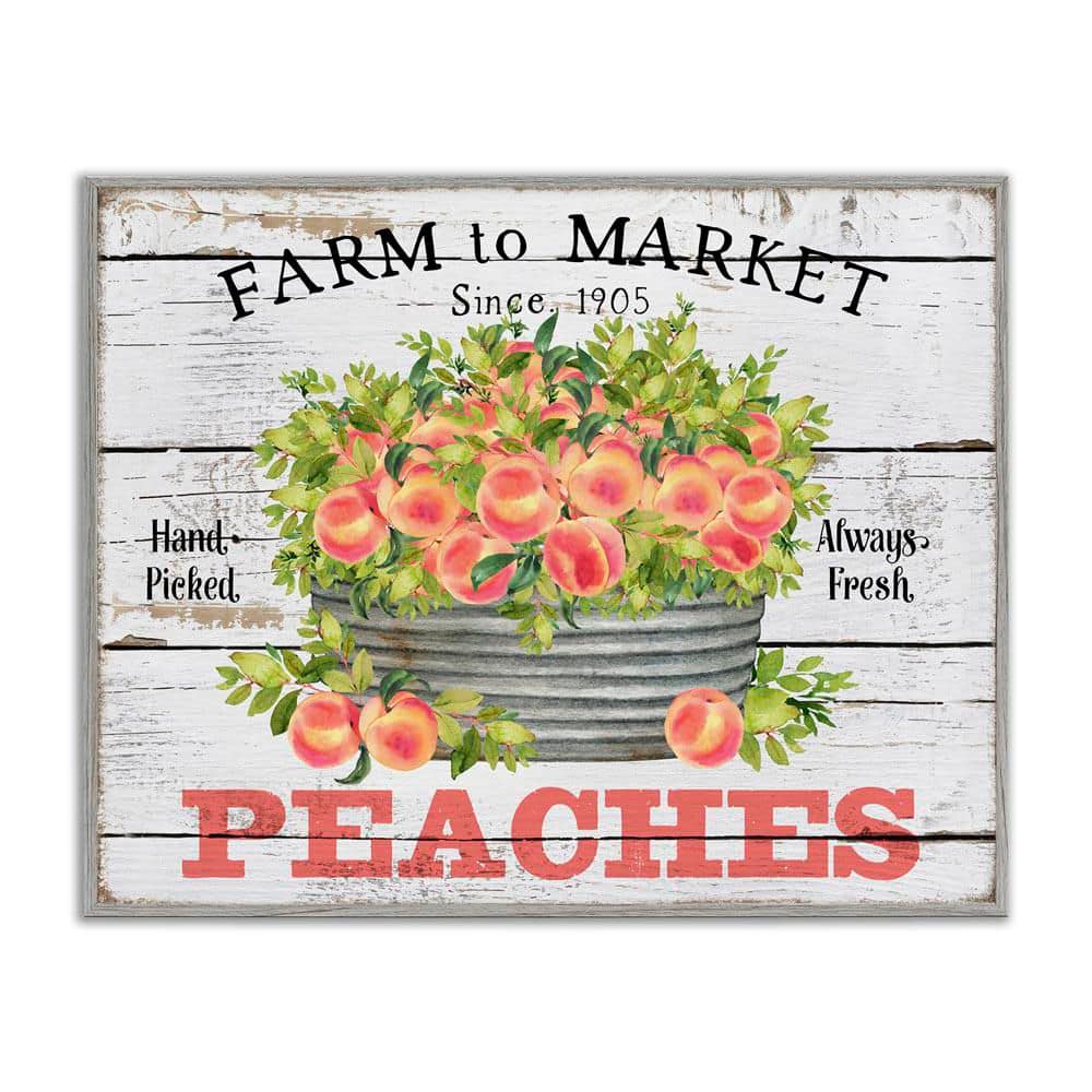 Farm To Market Peaches by Creatif Belle Gray Framed Food Giclee Art Print 16 in. x 20 in. price history on PriceWatchPro