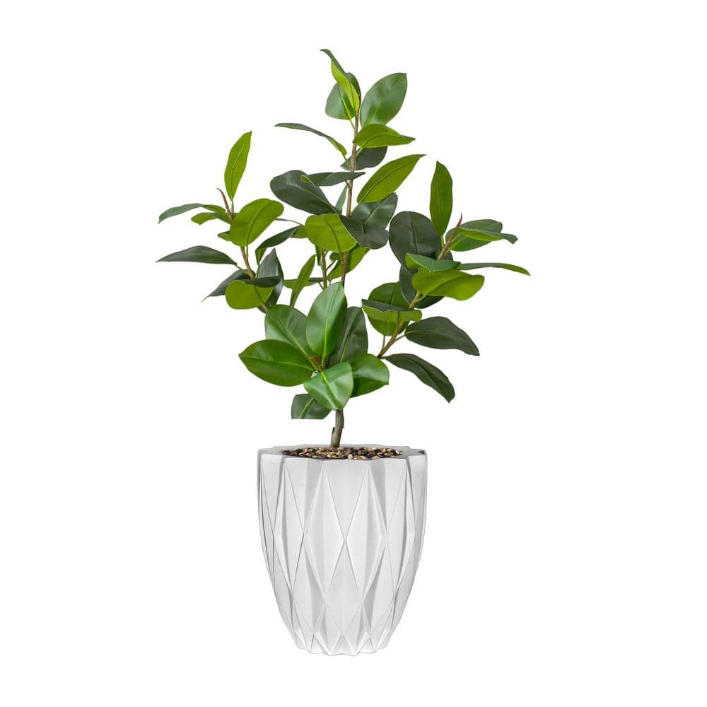Vintage Home Real touch 60 in. fake Rubber tree in a fiberstone planter