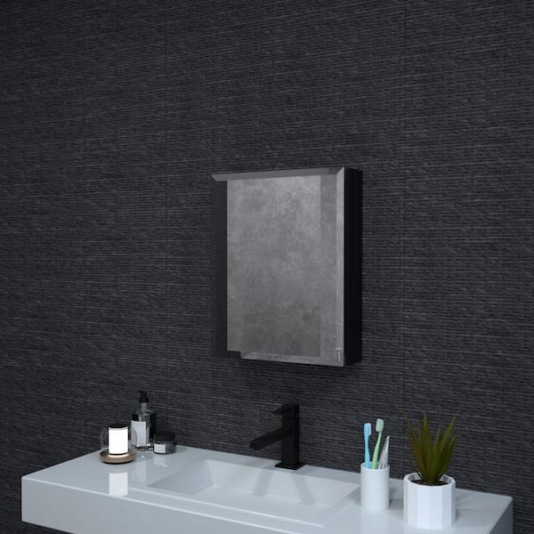 niveal 16 in. W x 20 in. H Rectangular Matte Black Aluminum Recessed/Surface Mount Medicine Cabinet with Mirror