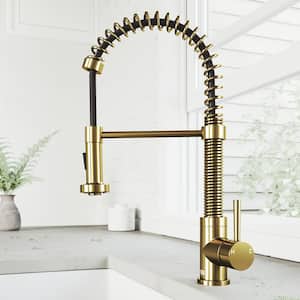 Edison Single-Handle Pull-Down Sprayer Kitchen Faucet in Matte Gold