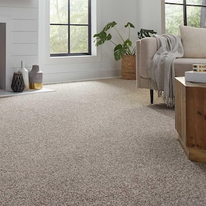 Barx I - Color Weathered Wood Indoor Texture Brown Carpet
