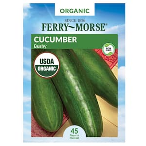 Cucumber Bushy Organic Seed