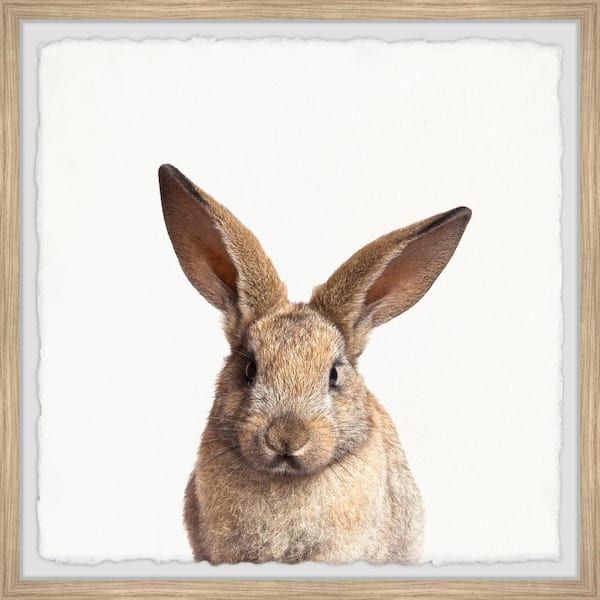 Unbranded "Hop In" by Marmont Hill Framed Animal Art Print 18 in. x 18 in.
