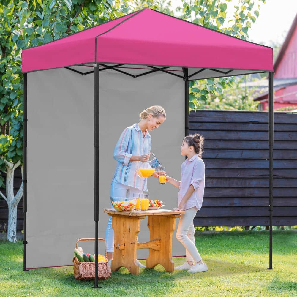 6 ft. x 4 ft. Portable Pop-up Canopy Shelter w/ Carrying Bag Adjustable Leg Sidewall Water-resistant for Outdoor, Pink price history on PriceWatchPro