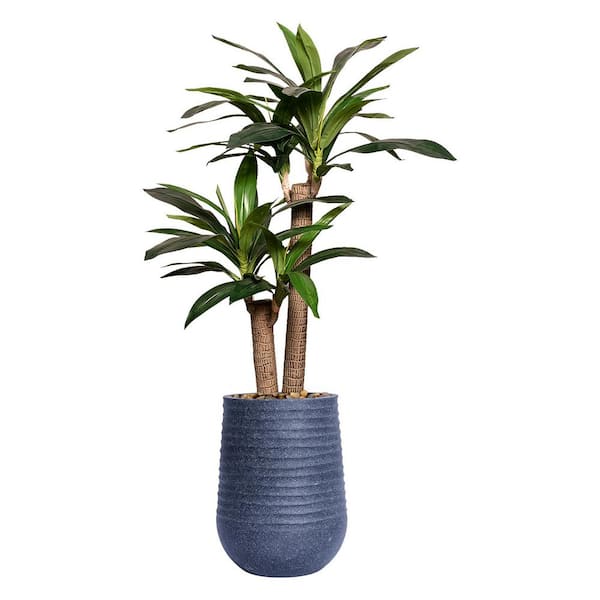 VINTAGE HOME Vintage Home Artificial Faux Corn Plant 57 in. High Fake Plant Real Touch with Stylish Plastic Planter