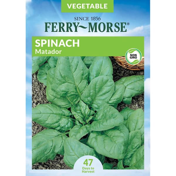 Ferry-Morse Spinach Matador Italian Vegetable Seed