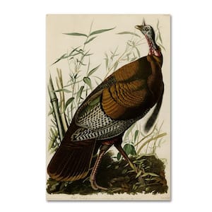 John James Audubon American Wild Turkey Cock Canvas Unframed Photography Wall Art 12 in. x 19 in
